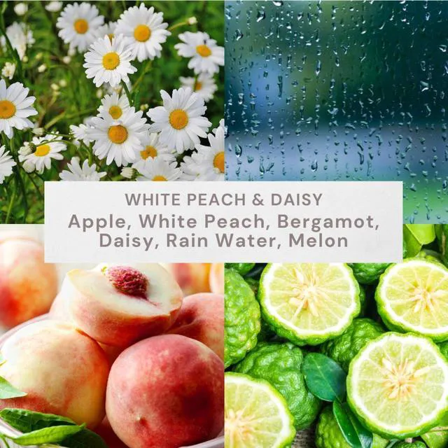 Alt view image 6 of 6 - White Peach & Daisy Scented 2-Wick Ombre Jar Candle, 12oz Better Homes & Gardens