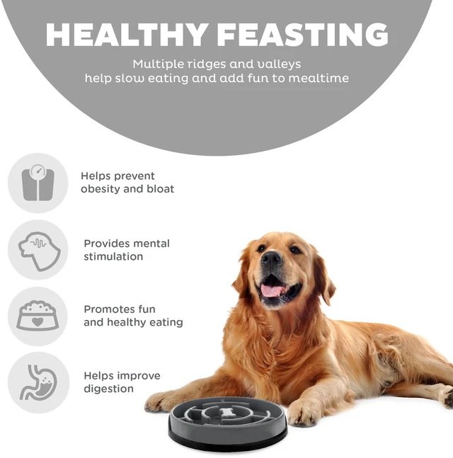 Alt view image 2 of 6 - Outward Hound Large Fun Feeder Slo Bowl, Slow Feeding Dog Bowl, Grey