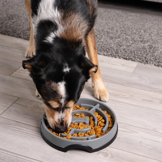Alt view image 4 of 6 - Outward Hound Large Fun Feeder Slo Bowl, Slow Feeding Dog Bowl, Grey