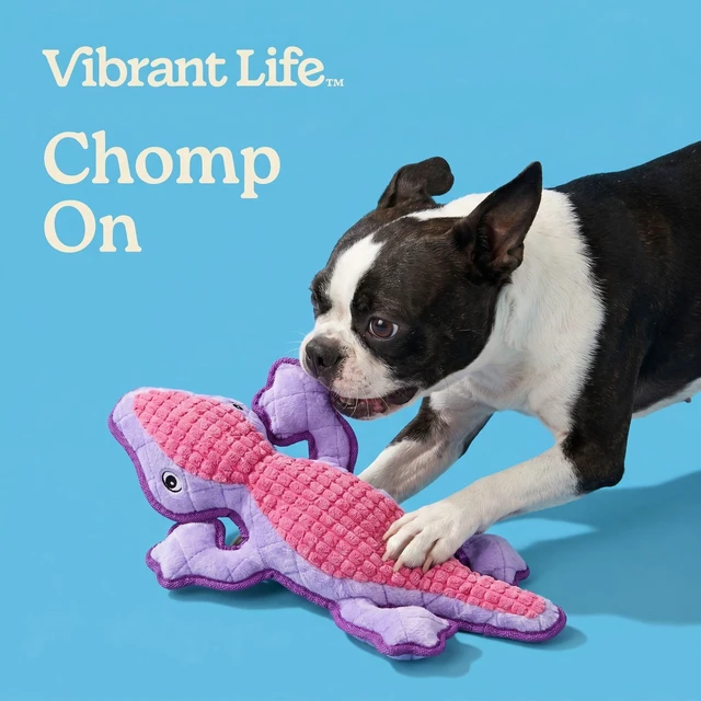 Alt view image 2 of 6 - Vibrant Life Purple Lizard Plush Dog Toy with Squeaker, Chew Level 4