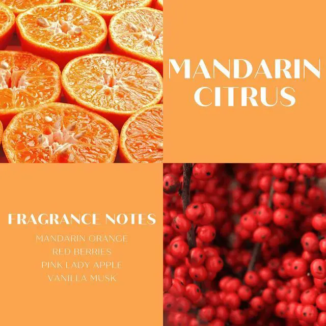 Alt view image 3 of 6 - Slatkin & Co Scentworx 14.5oz Mandarin Citrus 3-Wick Jar Candle