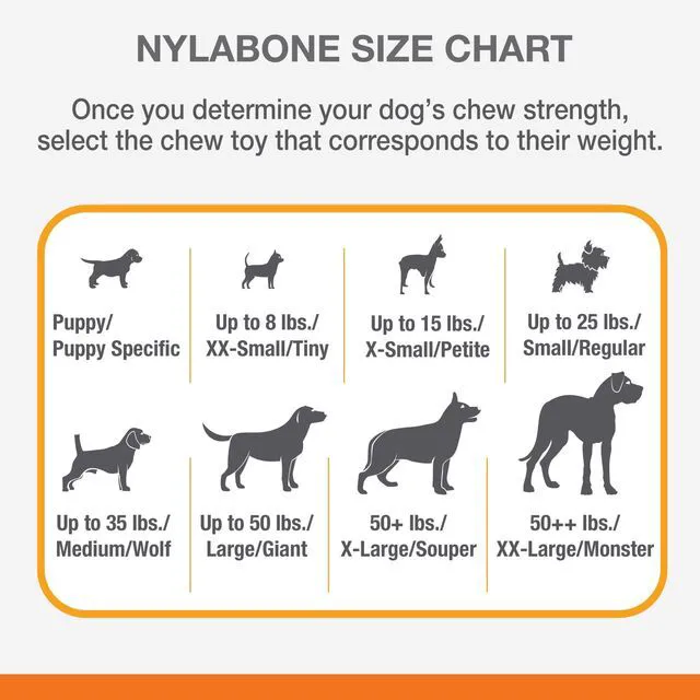 Alt view image 4 of 6 - Nylabone Daily Dental Rubber Braid Bone for Dogs Up to 35lbs