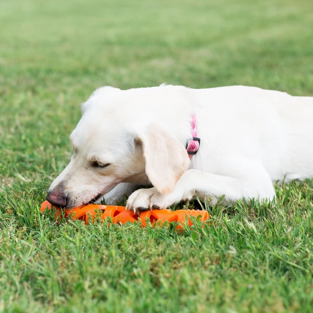 Alt view image 5 of 7 - Chuckit! Air Fetch Rubber Stick Dog Toy, Large 15" Long, Orange, Pack of 1