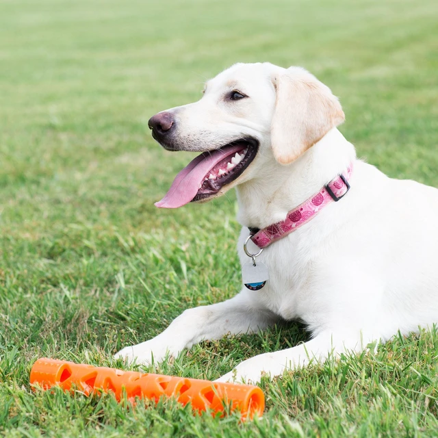 Alt view image 7 of 7 - Chuckit! Air Fetch Rubber Stick Dog Toy, Large 15" Long, Orange, Pack of 1