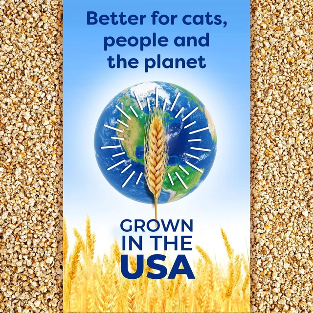 Alt view image 4 of 6 - SWheat Scoop Multi-Cat Natural Clumping Wheat Cat Litter, 15lb
