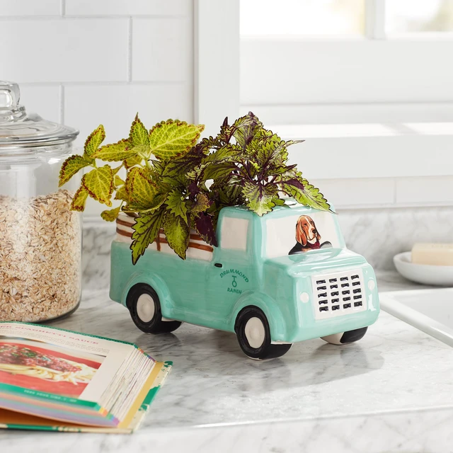 Alt view image 4 of 5 - Pioneer Woman Drummond Truck Novelty Planter, 6-Inch Opening, Stoneware