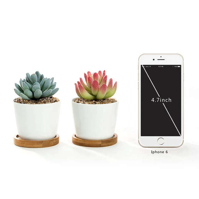 Alt view image 2 of 2 - K-Cliffs White Modern Oval Ceramic Succulent Pots with Bamboo Tray, Set of 2, Pot 3.5Dia x 2.6H in, Saucer 3.5Dia x 0.5H in