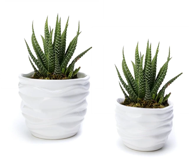 Alt view image 3 of 6 - K-Cliffs White Ceramic Pots Set of 2, Modern Design Waving, Small Pot 3.9in Dia x 2.9in H (Opening 3.3in), Large Pot 5.1in Dia x 4.1in H (Opening 4.4in)