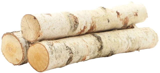 Main image of ProFlora Decorative Birch Logs 16" Pack of 3