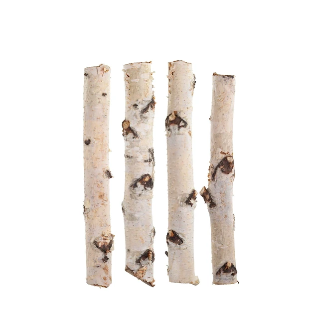 Alt view image 4 of 5 - ProFlora Decorative Birch Logs 16" Pack of 3