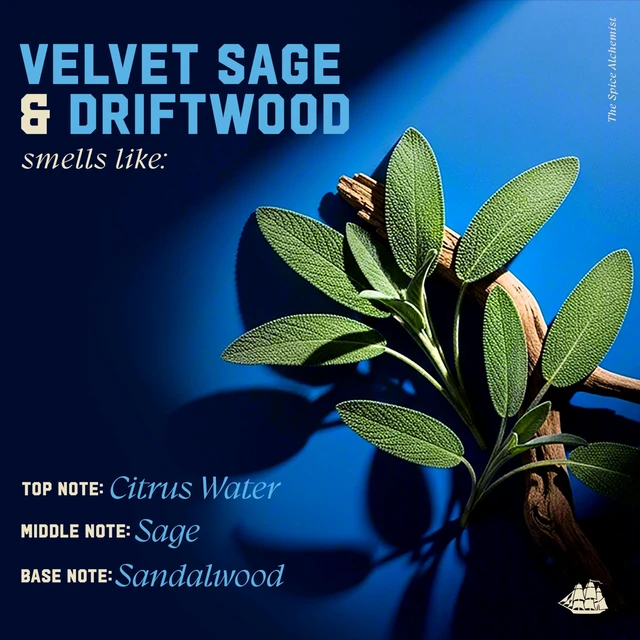 Alt view image 5 of 7 - Mens Shampoo, The Spice Alchemist Collection, 24/7 Cologne-Infused Velvet Sage & Driftwood Scent, Free of Parabens & Phthalates, 20 fl oz