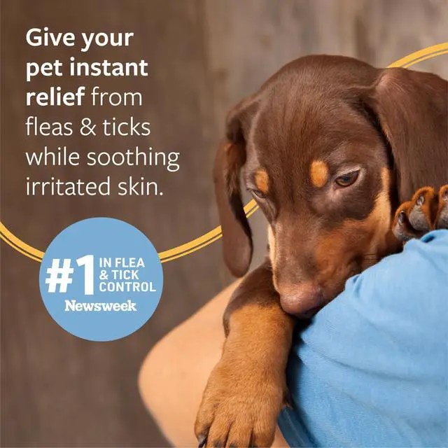 Alt view image 4 of 7 - Flea and Tick Shampoo for Dogs and Cats, 16 oz | Pyrethrum formula kills on contact while cleansing and exfoliating the coat