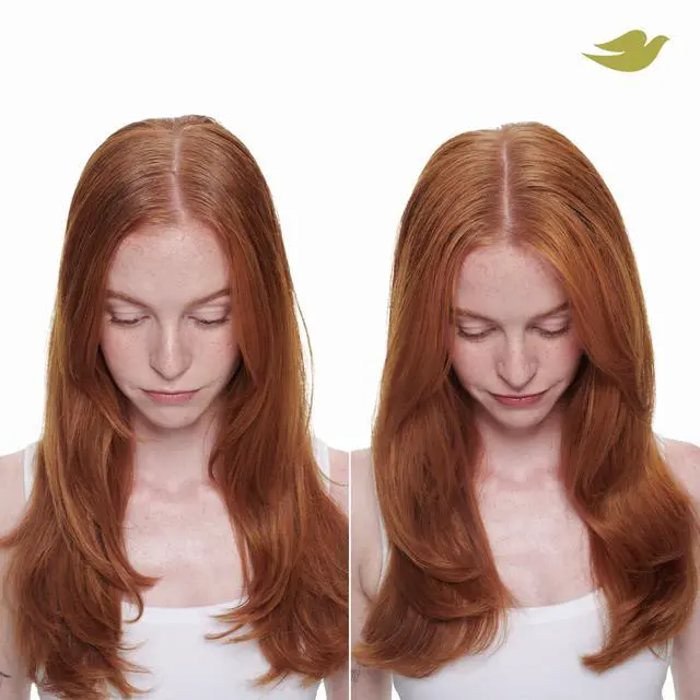 Alt view image 6 of 7 - Advanced Dry Shampoo Fresh Coconut Refresh & Revive Hair 7.3 oz | For all hair types, for clean hair between washes, weightless formula, softens and smooths, with coconut scent