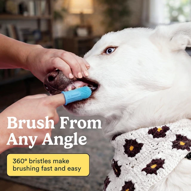 Alt view image 2 of 7 - Dog Toothbrush, 360° Finger Toothbrush for Dogs & Cats, Blue 2-Pack | 12x More Bristles, Teeth Cleaning Kit for Small & Large Pets, Toothpaste Not Included, Fights Bad Breath, Extra Soft Silicone