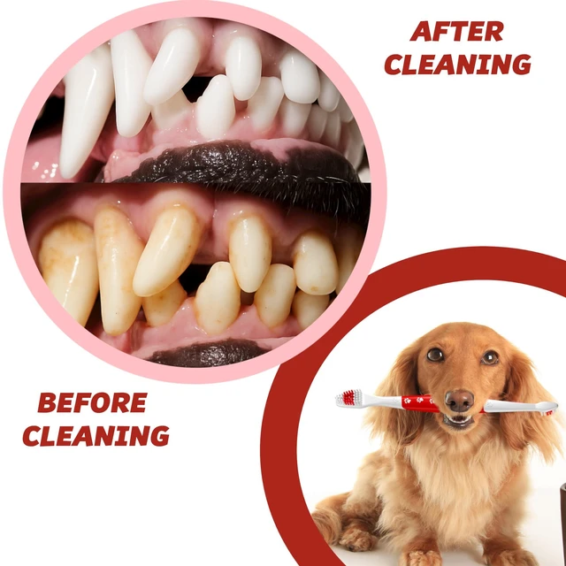 Alt view image 3 of 7 - Pet Toothbrush for Dogs, Cats with Soft Bristles - Easy Teeth Cleaning & Dental Care, Non Slip Dual Head Dog Toothbrush for Medium & Large Pets, Toothpaste Not Included, Pack of 1 Red