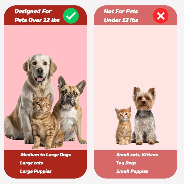 Alt view image 4 of 7 - Pet Toothbrush for Dogs, Cats with Soft Bristles - Easy Teeth Cleaning & Dental Care, Non Slip Dual Head Dog Toothbrush for Medium & Large Pets, Toothpaste Not Included, Pack of 1 Red