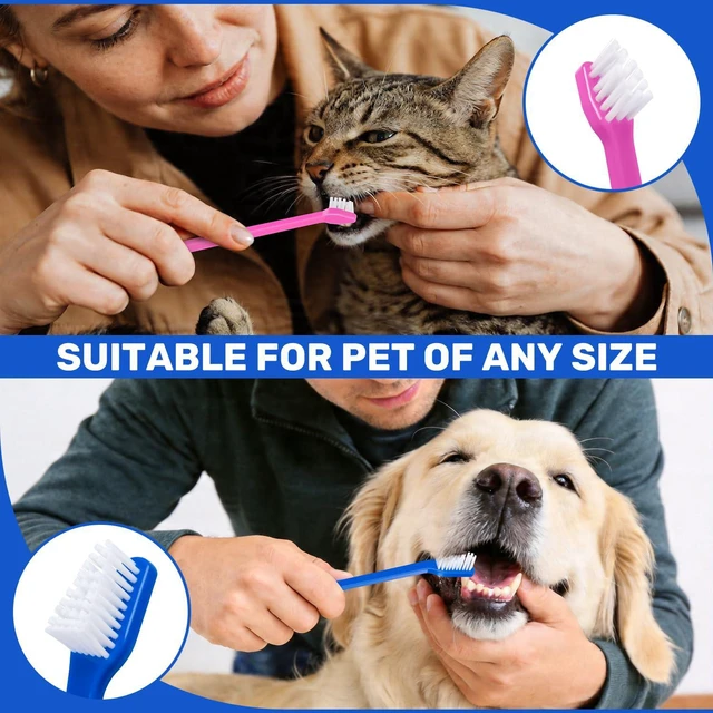Alt view image 7 of 7 - Dog Toothbrush Set of 8 - Dual Headed, Dental Hygiene Convenient Soft Toothbrush to Clean pet Teeth, Dog Tooth Brushes for Small to Large Dogs, Cats, and Most Pets, Teeth Brush in Bulk