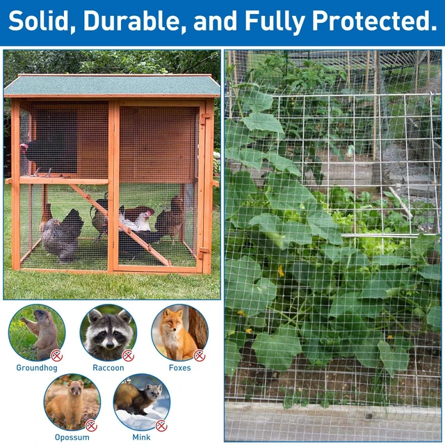 Alt view image 4 of 7 - Cloth,Chicken Wire Fence,1/2 inch 15.7in x 6ft Galvanized Welded Cage Wire for Bird Wire Gopher Wire Rabbit Wire Snake Fence Poultry Netting Cage Screen