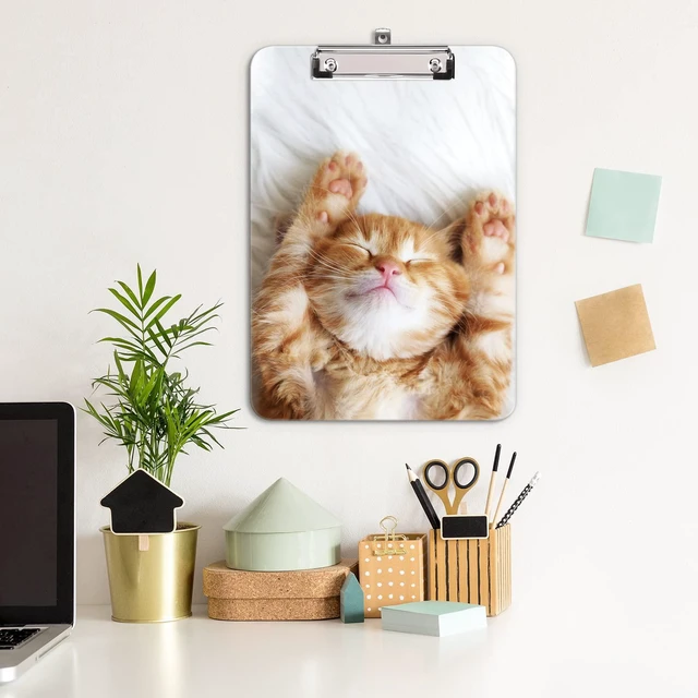 Alt view image 4 of 6 - Plastic Cute Clipboard, 8.5 x 11 Decorative Clip Board