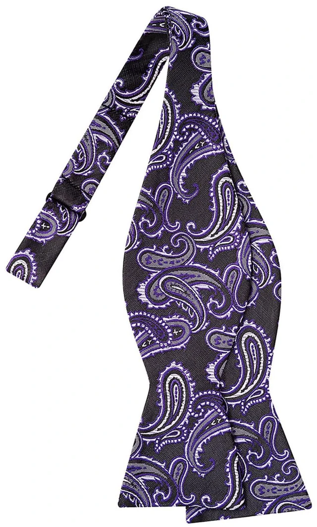 Main image of Mens Self Tied Bow Tie Paisley Purple Black Holiday Bowties