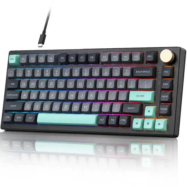 Main image of N75 Wired 75% Compact Mechanical RGB Gaming Keyboard with Media Knob | Custom Gasket Mount Keyboard, RGB Backlit & PBT Keycaps Computer Keyboard, Hot Swappable Pre-lubed Dynamic Silver Switch