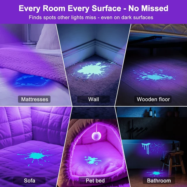 Alt view image 4 of 7 - 365nm UV Flashlight for Pet: 99% Enhance Hidden Stain Detection Rate | 40CM Wide Beam & UV Filter Deliver 10x Clearer Contrast - Reveals 0.1CM Dried Pets Urine on Carpet - No Missed Pinpoint Odor