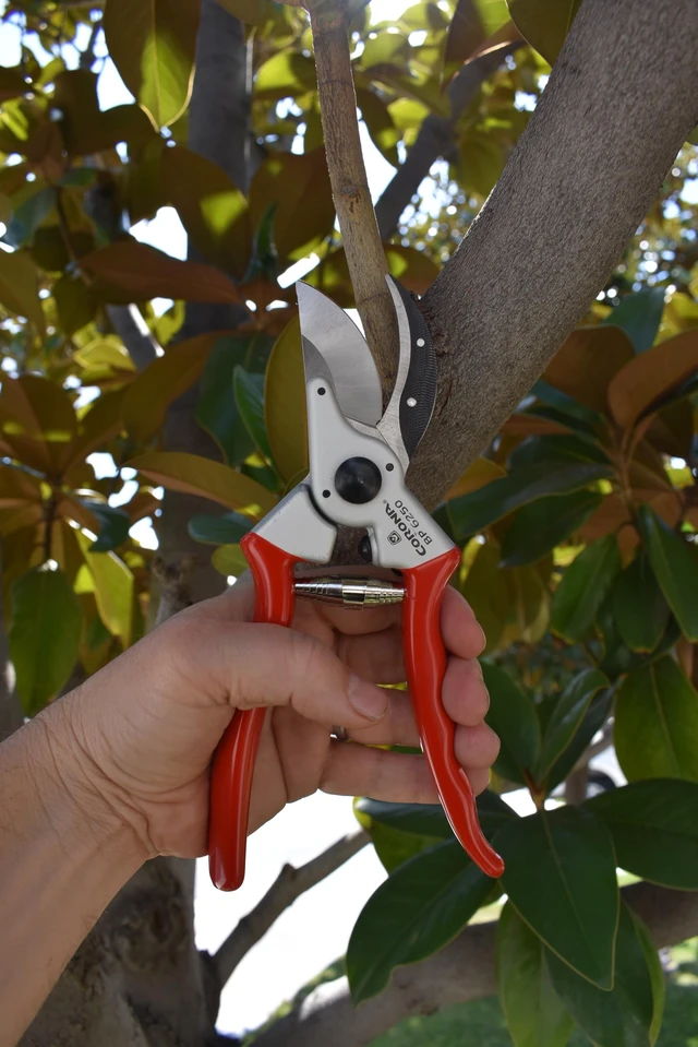 Alt view image 2 of 7 - Tools BP 6250 MAXFORGED Aluminum Bypass Pruner, 1-Inch Cut Capacity, Professional Hand Pruning Shears with Replaceable Steel Blade & Non-Slip Comfort Grip