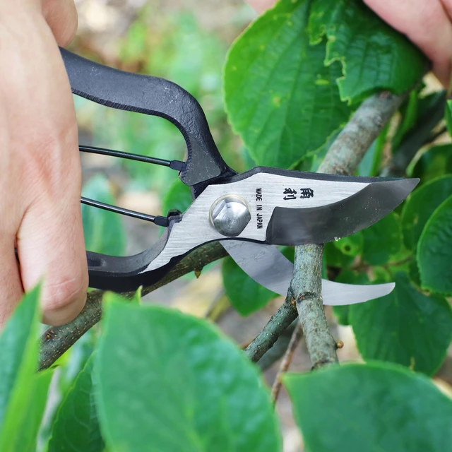 Alt view image 4 of 7 - Japanese Pruning Shears for Gardening Heavy Duty 8", Made in JAPAN, Professional Garden Bypass Pruners with Leather Sheath, Hand Forged Japanese Carbon Steel, Black