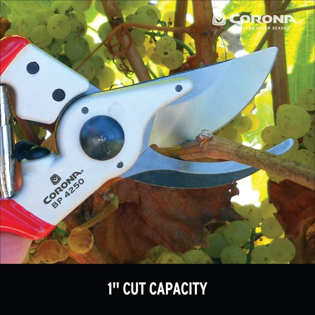 Alt view image 7 of 7 - Tools BP 4250 MAXFORGED Aluminum Bypass Pruner, 1-Inch Cut Capacity, Professional Hand Pruning Shears with Replaceable Steel Blade & Ergonomic Angled Head