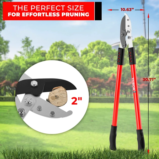 Alt view image 4 of 7 - GG12A Anvil Lopper with Compound Action, 30 Inch Tree Trimmer & Branch Cutter, Heavy Duty Tree Pruner with 2 Inch Cut Capacity, Chops Thick Dry Branches with Ease