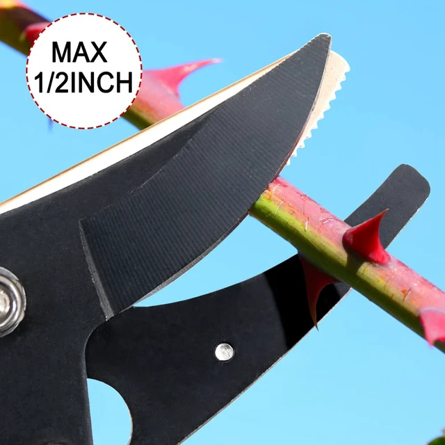 Alt view image 5 of 7 - 32-Inch Cut and Hold Pruners, Long-Reach Tree Pruner with Rotating Cutter Head, Long Pruning Shears for Garden, Fruit Picking, Branches Trimming