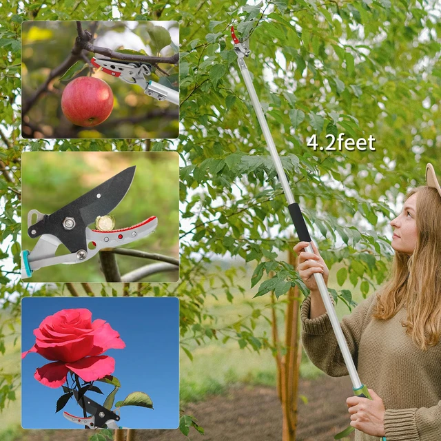 Alt view image 4 of 7 - Cut & Hold Pole Pruner, 4.2 FT Lightweight Fruit Picker with 180° Rotating Handle, SK5 Steel Blade Cuts up to 1/2 Inch, Long Reach Garden Tree Trimmer & Branch Cutter for Shrubs, Bushes