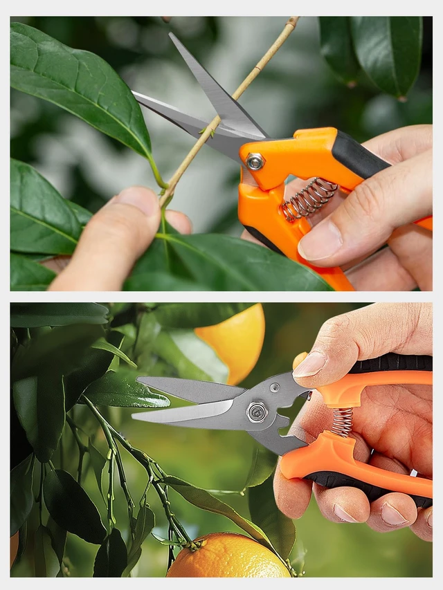 Alt view image 7 of 7 - 3 Pack Garden Scissors kit Professional Garden Pruning Shears Stainless Steel Garden Shears Gardening Clippers Flower Plant Scissors Tools Arthritis Weak Hand Pruner Work 3 Times Easier