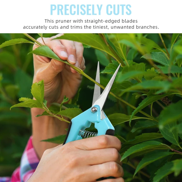 Alt view image 2 of 7 - 4 Pack Pruning Shears 6.5 Inch Stainless Steel Garden Scissors | with Sharp Precision Blades, Comfortable Ergonomic Hand Snips for Deadheading, Flowers, Trimming Herbs, Shaping Small Plants