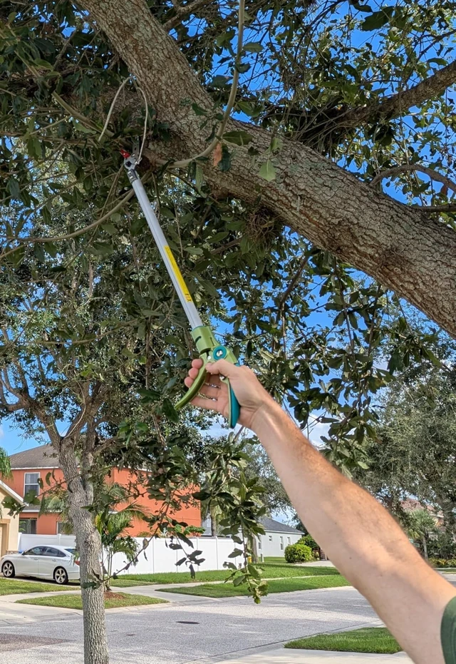 Alt view image 6 of 7 - 32 Inch Cut and Hold Pole Pruner - Lightweight Long Reach Tree Trimmer with Snip and Grip Technology, 1/2 Inch Cutting Capacity, One-Hand Use Fruit Picker for Roses, Persimmons & Tall Branches