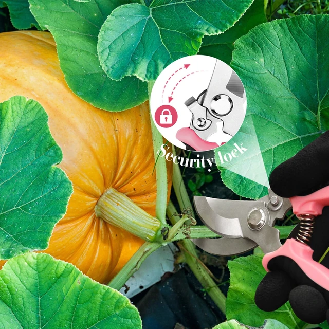 Alt view image 4 of 7 - 4 Packs Garden Pruning Shears Stainless Steel Blades Handheld Pruners Set with Gardening Gloves(Pink)