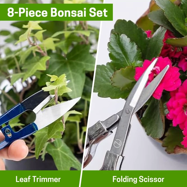 Alt view image 3 of 7 - Bonsai Set 8 Pcs, Bonsai Tools Kit, Garden Tools Set | Include Pruner, Fold Scissors, Mini Rake, Bud & Leaf Trimmer Set