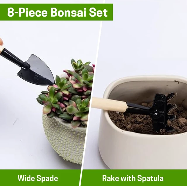 Alt view image 5 of 7 - Bonsai Set 8 Pcs, Bonsai Tools Kit, Garden Tools Set | Include Pruner, Fold Scissors, Mini Rake, Bud & Leaf Trimmer Set