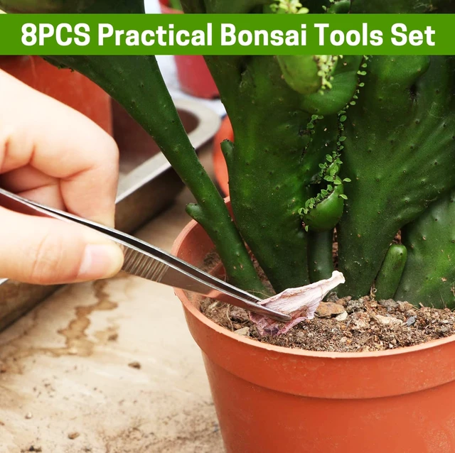 Alt view image 6 of 7 - Bonsai Set 8 Pcs, Bonsai Tools Kit, Garden Tools Set | Include Pruner, Fold Scissors, Mini Rake, Bud & Leaf Trimmer Set
