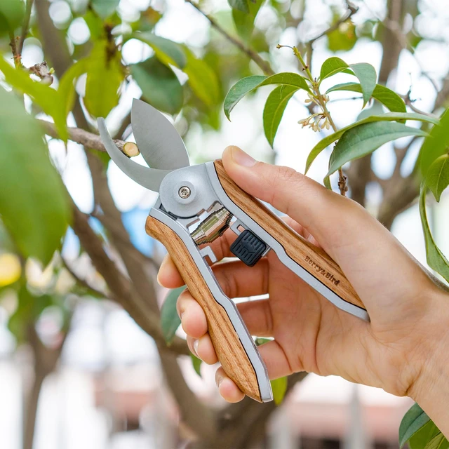 Alt view image 4 of 7 - Mini Pruning Shears for Gardening Curved Blades Hand Pruners with Wooden Handle Garden Scissors Snips Stainless Steel Trimming Small Clippers Bonsai Compact Size Sheaering Tool