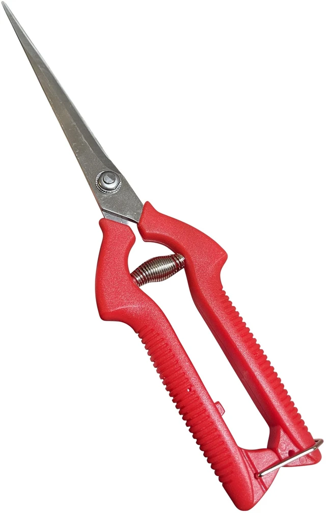 Main image of Long Stainless Steel Pruner Pruning Shears Clippers Snips Sharp Bonsai Cutter Plant Trimming Scissors Straight Blade Garden Scissors Tool Great for Roses Flowers Herbs Fruits