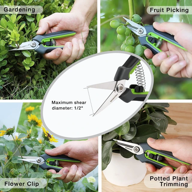 Alt view image 6 of 7 - 2 Pack Garden Pruning Shears, 6.5" Small Hand Pruners with Sheath | Sharp Straight Blades, Spring Loaded Design, Precision Microgreen Trimming, Ideal for Flowers, Weeds & Bonsai