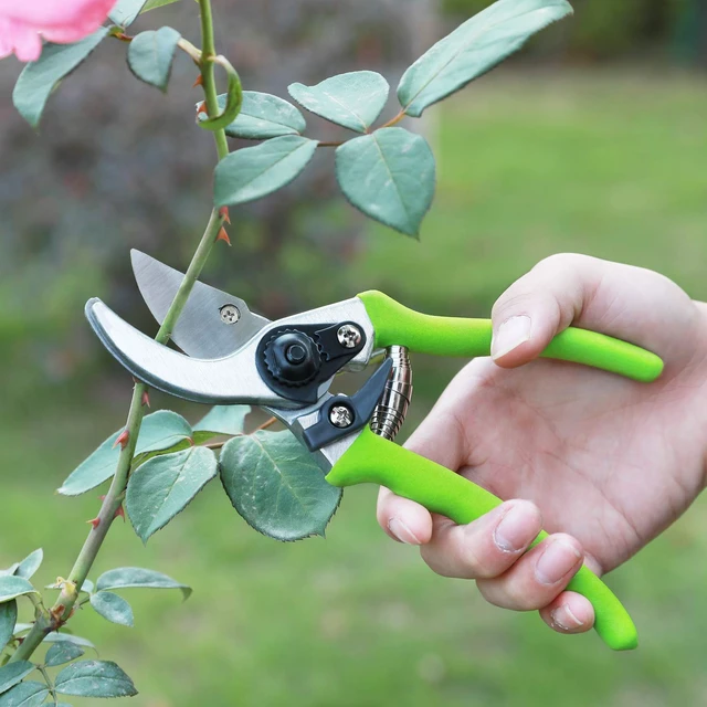 Alt view image 5 of 7 - W151010 Limb and Branch Pruner Tool Set, Heat-Treated Steel (1 Set) | Heat-Treated Steel, 15 Inch Lopper, 8 Inch Pruner