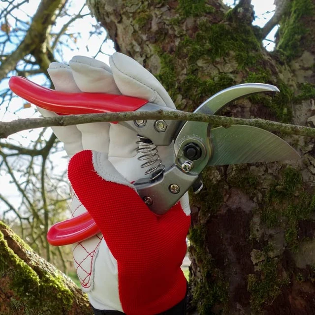 Alt view image 2 of 5 - HP-VS8Z Signature Heavy Duty Pruner