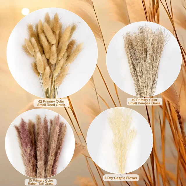 Alt view image 3 of 7 - Pampas Grass Decor, Dried Flowers Bouquet for Boho Home Farmhouse Decor | Arrangement for Bohemian Wall Art, Western Home, Living Room, Bedroom, Wedding Table & Fall Decor