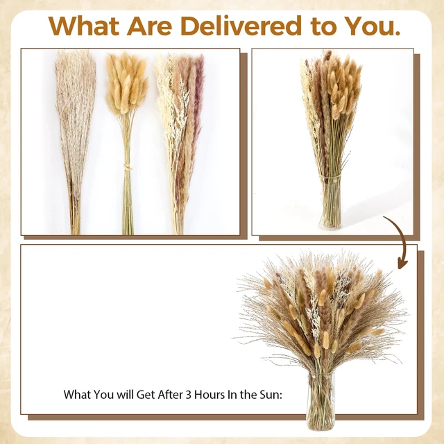 Alt view image 6 of 7 - Pampas Grass Decor, Dried Flowers Bouquet for Boho Home Farmhouse Decor | Arrangement for Bohemian Wall Art, Western Home, Living Room, Bedroom, Wedding Table & Fall Decor