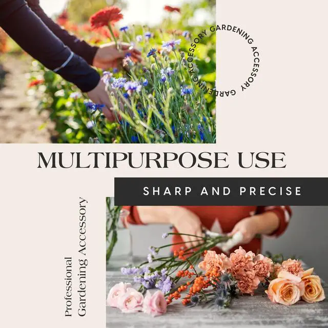 Alt view image 5 of 7 - Flower Clippers, Garden Shears with Sharp Blades, Trimming Shears for Plants, Flowers and Trees, Must-Have Designing and Gardening Hand Tools