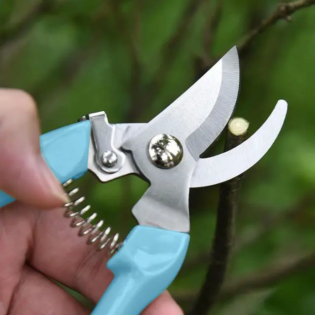 Alt view image 2 of 7 - Garden Scissors for Plant, Tip Pruning Shears for Cutting Flowers, Trimming Plants, Bonsai and Fruits Picking (Blue Bypass Blade Pruner)