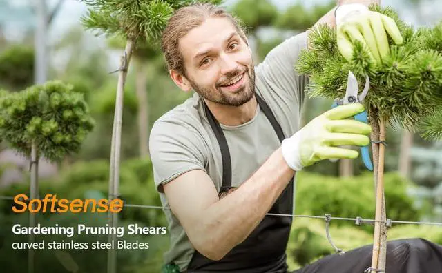 Alt view image 7 of 7 - Garden Scissors for Plant, Tip Pruning Shears for Cutting Flowers, Trimming Plants, Bonsai and Fruits Picking (Blue Bypass Blade Pruner)
