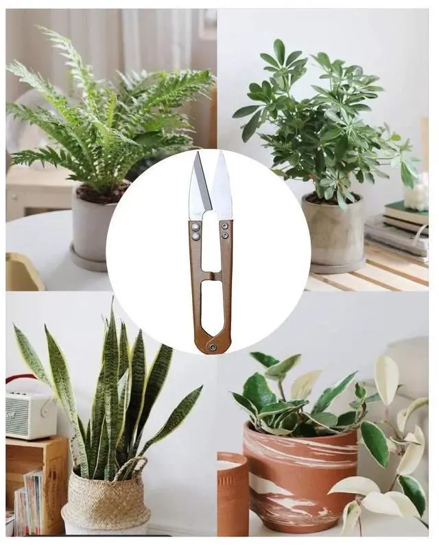 Alt view image 6 of 7 - 3 Pack 4.1Inch Bonsai Pruning Scissors, Bud And Leaves Trimmer Yarn Thread Cutter Snips Trimming Supplies, Garden Plants, Gardening Clippers Flower, Stainless Steel Pruners Trimmers